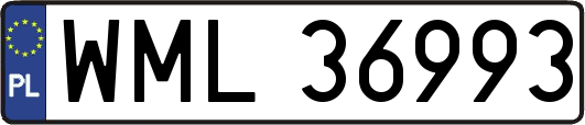 WML36993