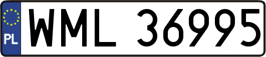 WML36995