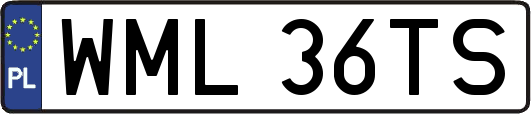 WML36TS