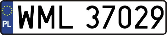 WML37029