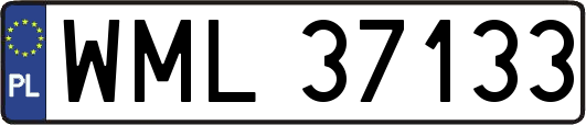 WML37133