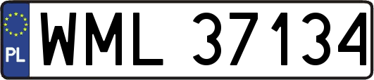 WML37134