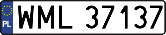 WML37137