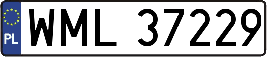 WML37229