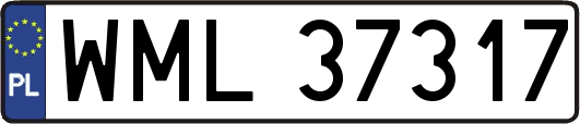 WML37317
