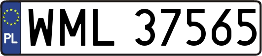 WML37565