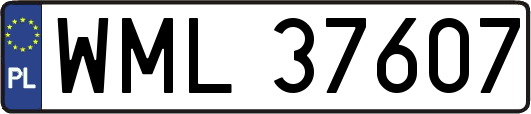WML37607