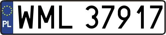 WML37917