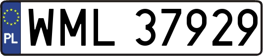 WML37929