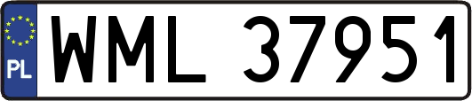 WML37951