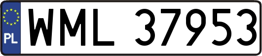 WML37953