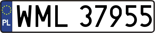 WML37955