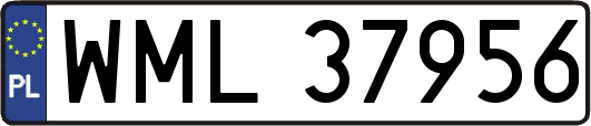 WML37956