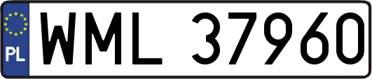 WML37960