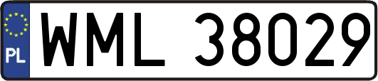 WML38029