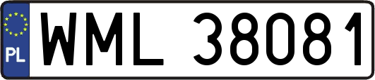 WML38081
