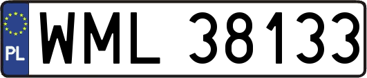 WML38133