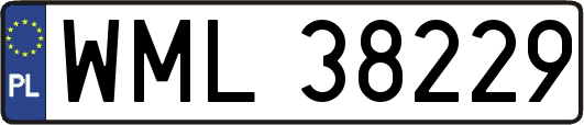 WML38229