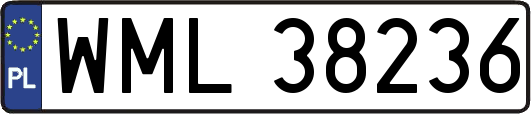 WML38236