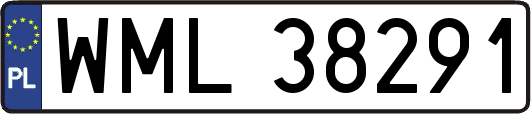 WML38291