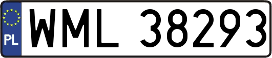 WML38293