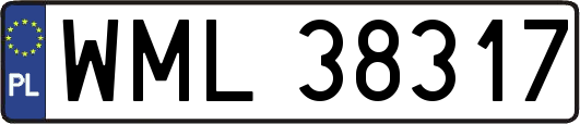 WML38317
