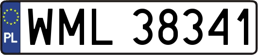 WML38341