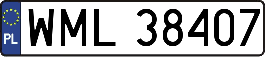 WML38407