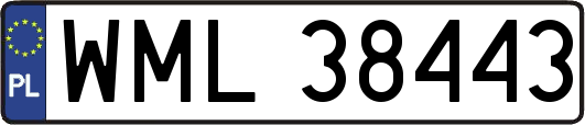 WML38443