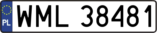 WML38481