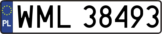 WML38493