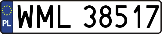 WML38517