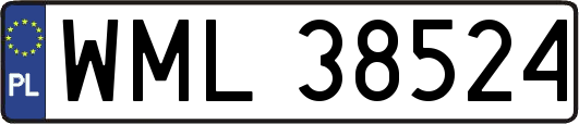 WML38524