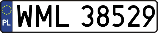 WML38529