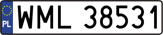 WML38531