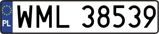 WML38539