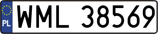 WML38569