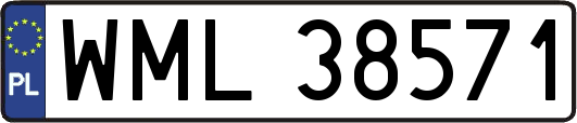 WML38571