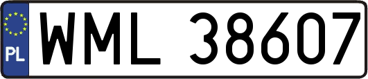WML38607