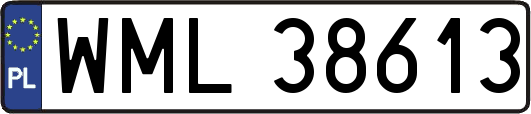 WML38613