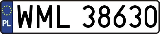 WML38630