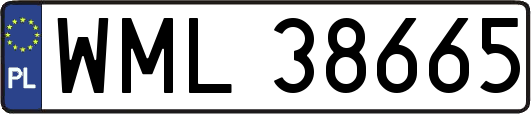 WML38665
