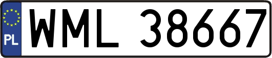 WML38667