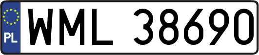WML38690