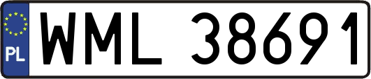WML38691