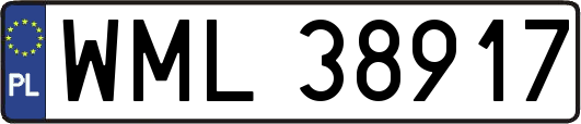 WML38917