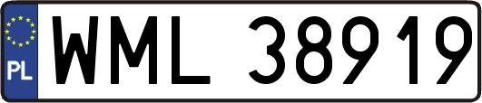 WML38919