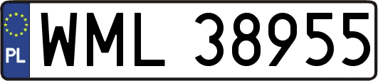 WML38955