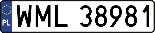 WML38981