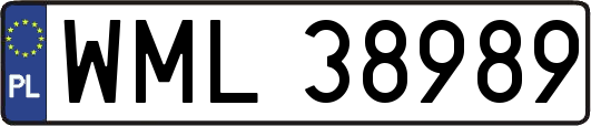WML38989